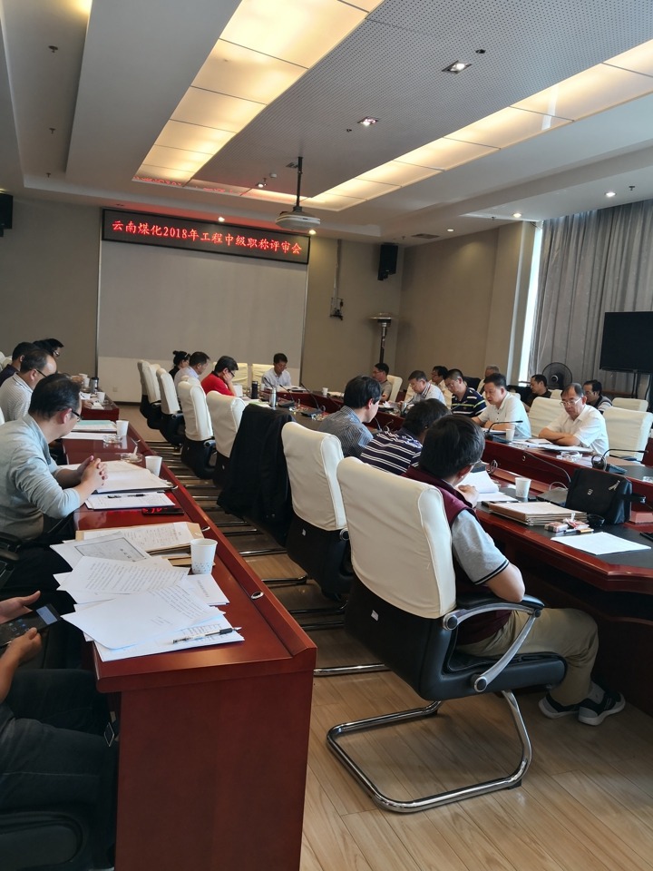 云南尊龙Z6官方网站集团中评委会召开