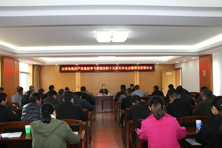 集团党委委员、、、财务总监莫晓丹到羊场煤矿宣讲党的十九届五中全会精神