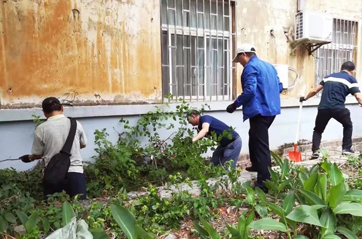 集团机关党委、老干党委开展党员自愿服务活动