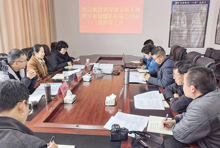 集团党委委员、财务总监莫晓丹一行赴罗平东城公司督导调研