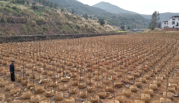 【主题宣传周】推进种养殖项目　探索转型开展之路——一平浪煤矿公司立异理念实现工业转型与增收“共赢”