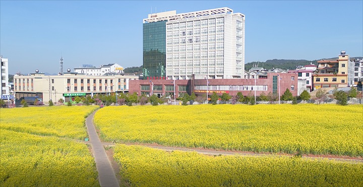 【主题宣传周】恩洪煤业公司党委深入践行生态文明头脑　激活“绿色矿山”开展新动能