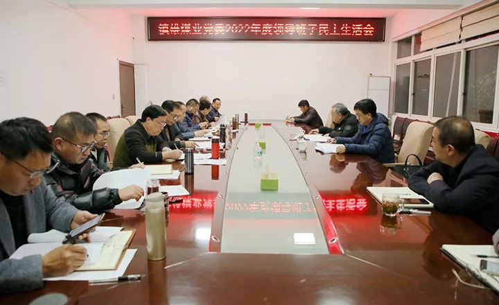 集团党委委员、、、副总司理施从伟到镇雄煤业公司指导年度民主生涯会