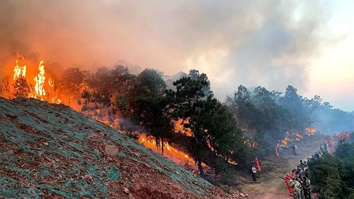 【云煤简讯】曲煤焦化公司加入马龙森林火灾扑救｜威信煤炭公司观音山煤矿一井万兆环网硬件搭设建设事情圆满完成