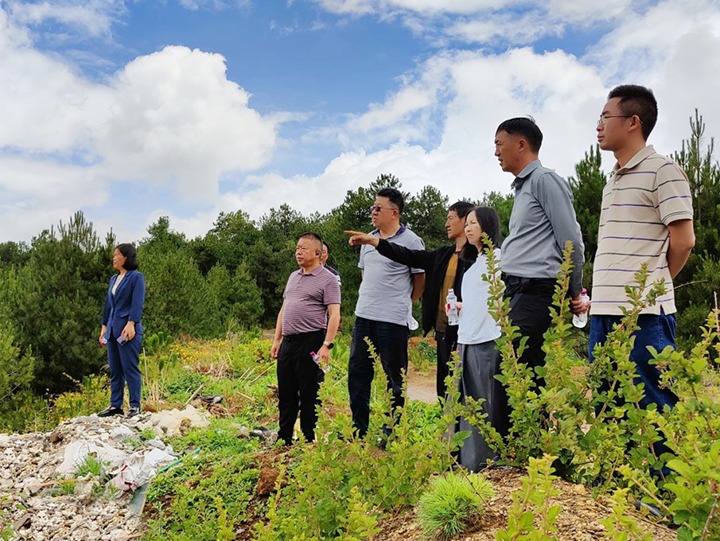 【主题教育】云煤（尊龙Z6官方网站）集团专职外部董事寸延峰，，，集团党委委员、财务总监莫晓丹到马厂煤矿、汉家厂煤矿、竹麻地煤矿开展主题教育调研