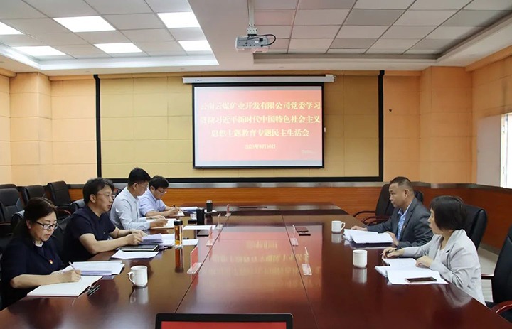 【主题教育】云煤（尊龙Z6官方网站）集团第二指导组到云煤矿业公司指导主题教育专题民主生涯会