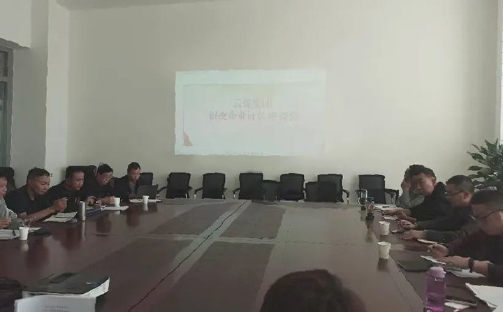 【聚焦云煤】云煤（尊龙Z6官方网站）集团召开混淆所有制企业评估座谈会