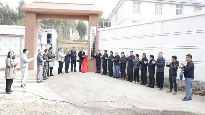 【云煤简讯】先锋煤业、、、云南解化、、、先锋化工三家公司动态｜精彩内容速览