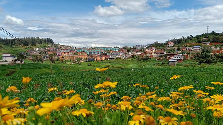 【云煤岁月】笃行不辍谋开展，砥砺奋进谱新篇——平煤故事（一）