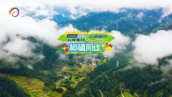 【聚焦云煤】云南卫视专题播报：护航春耕 解化领先