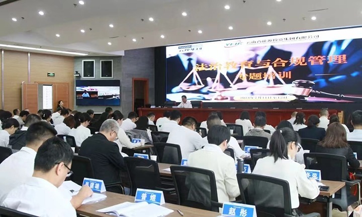 煤炭工业集团、、、能投集团联合举行2024年度法治教育与合规治理专题培训