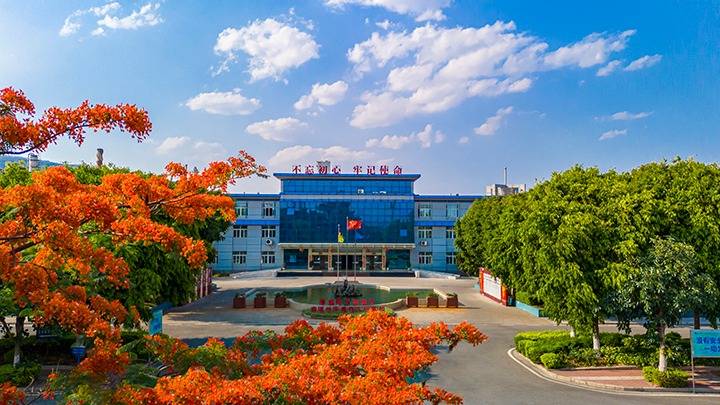 红色基由于引领，磨练战场写华章  —— 汗水与智慧交织的磨练历程