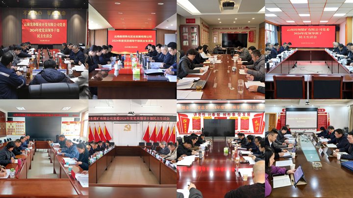 盘问题 抓整改 促开展｜集团党委高质量完成2024年度民主生涯会督导事情