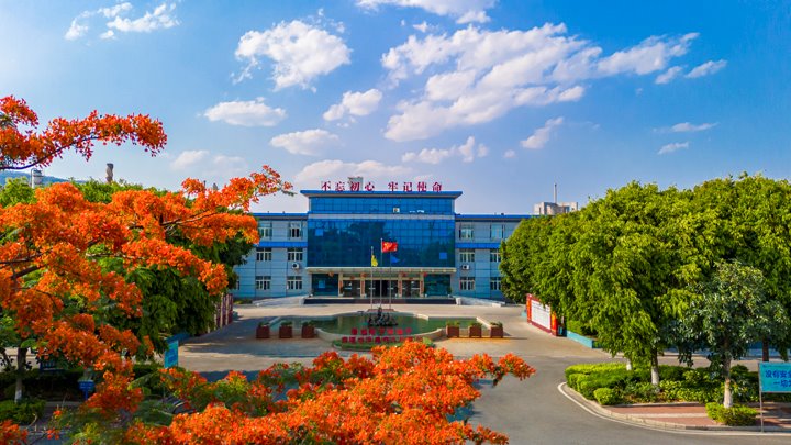 党建引领业绩飙升！！！云南解化拼出“百日红”